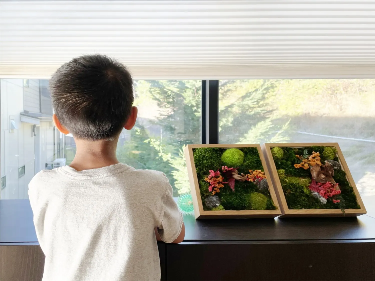 Child looking out a window with honeycomb shades in a Bellevue home