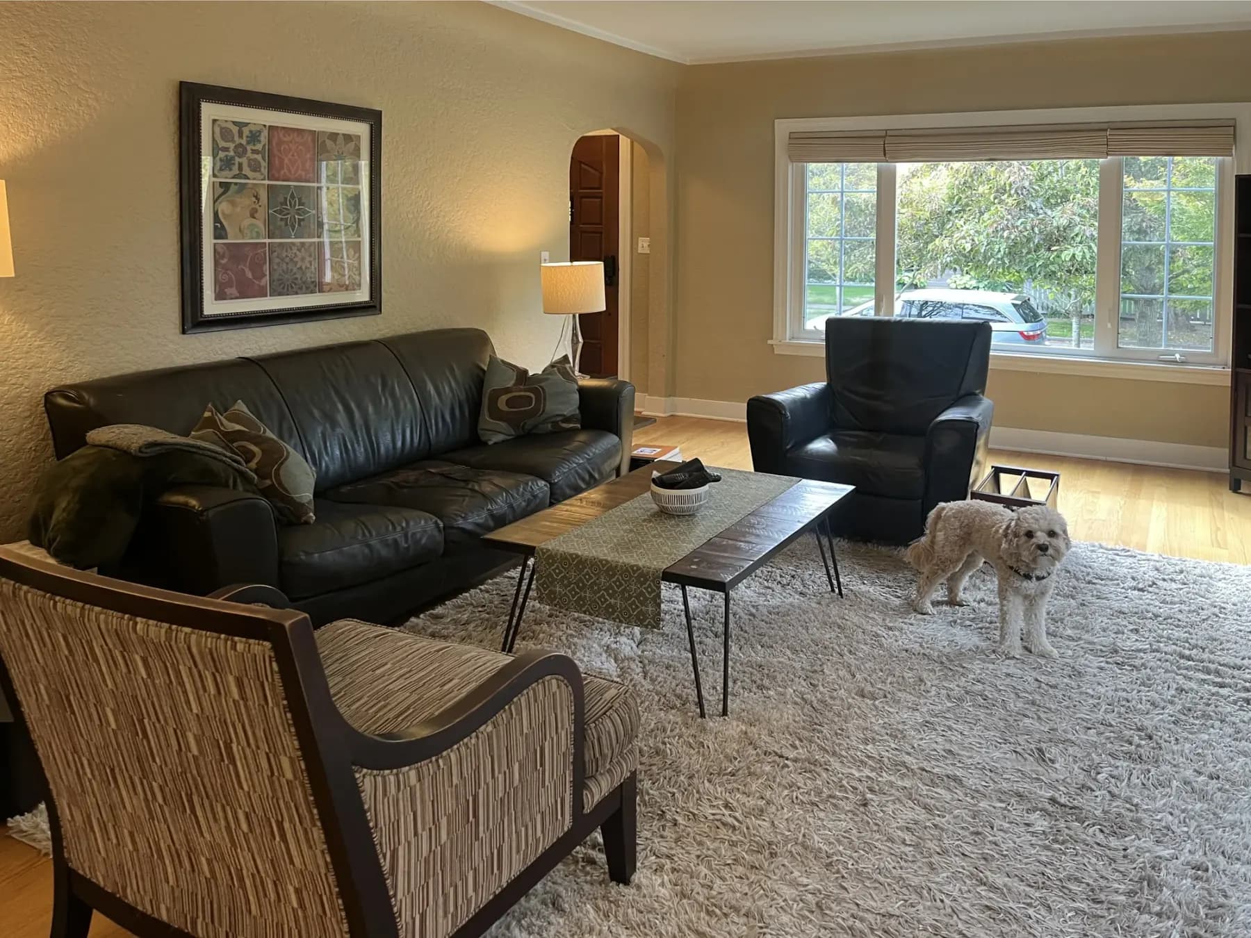 Cordless Roman shade raised above a dog in a Seattle living room