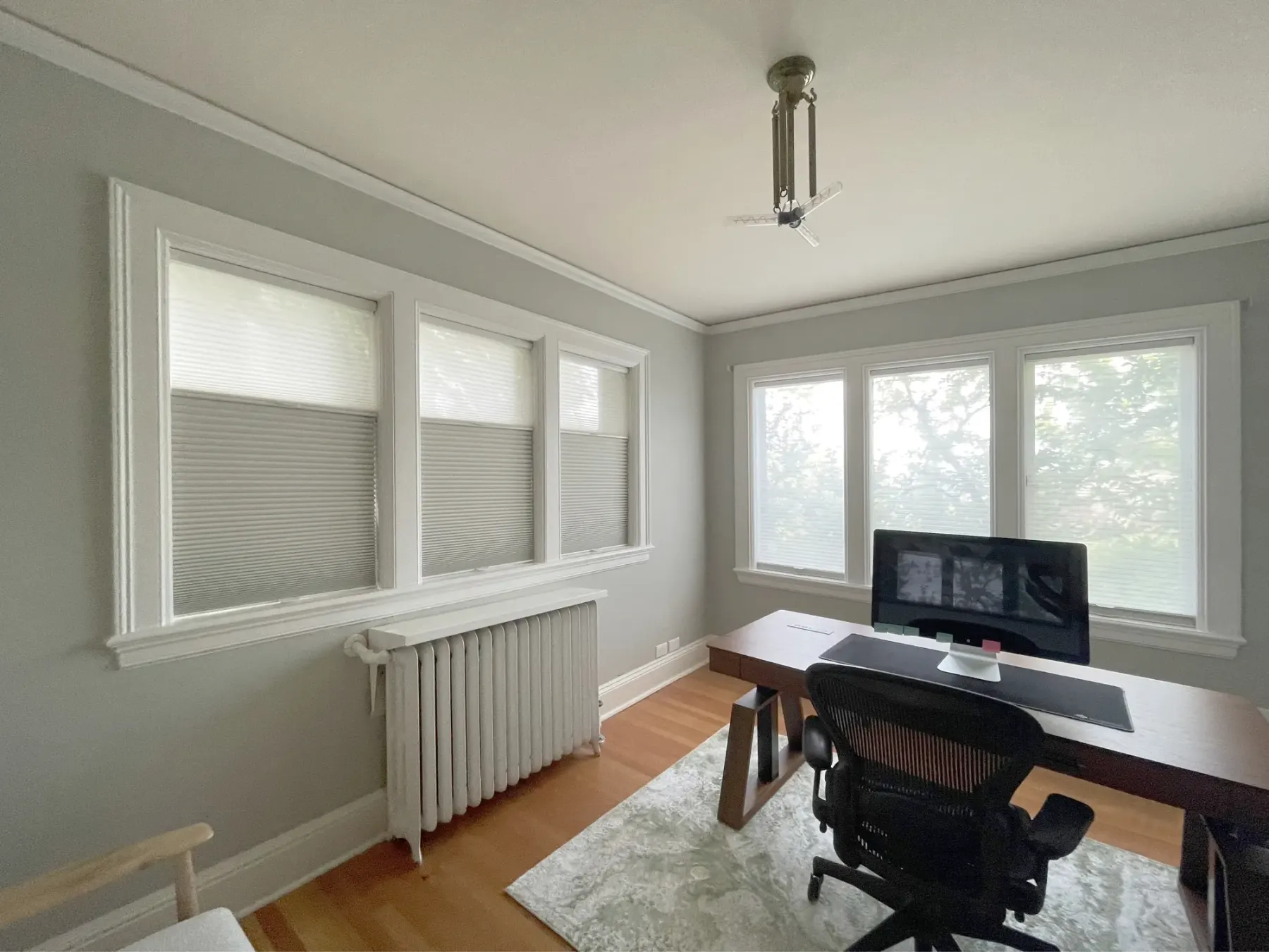 Hunter Douglas Duolite honeycomb shades with dual fabric opacities in a Seattle office