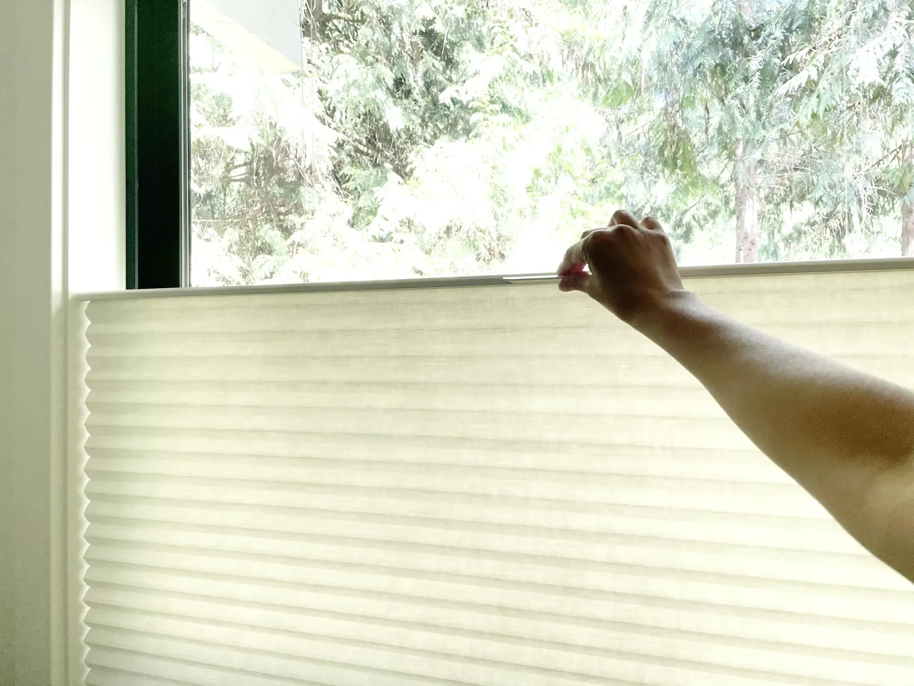Hand operating a cordless honeycomb shade in a Woodinville home