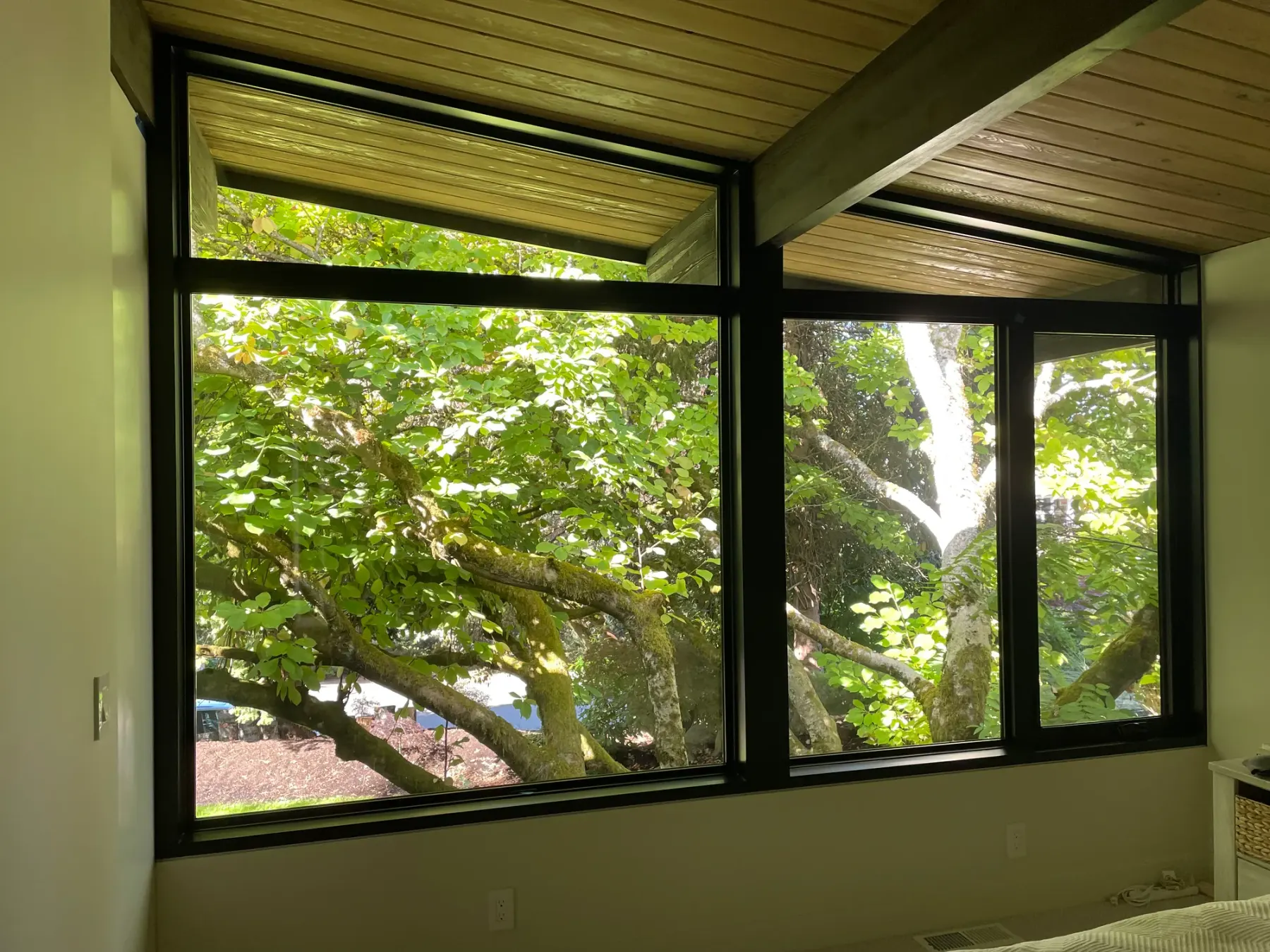 Primary bedroom windows with no window coverings in Mercer Island