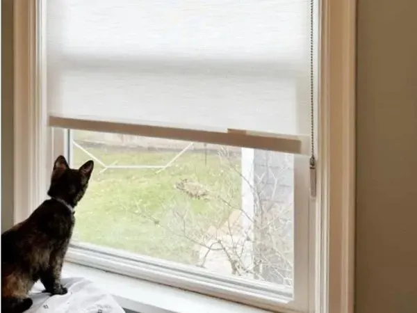 Cat sitting on a windowsill looking outside through a raised roller shade