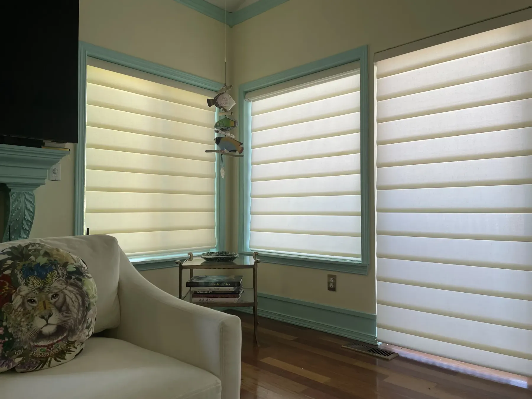 Vignette® Rolling Roman shades on a sliding glass door in a Renton living room