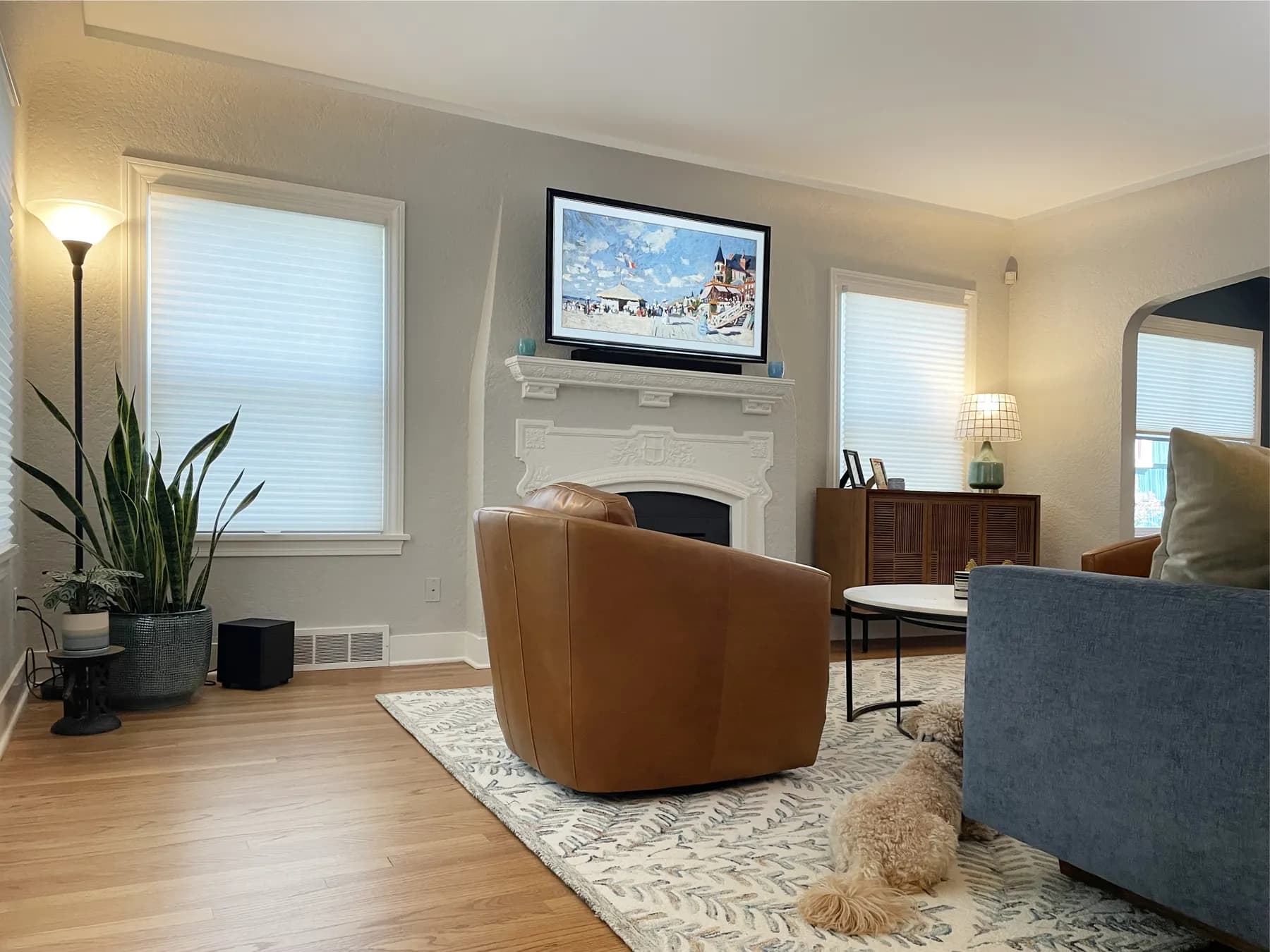 Honeycomb Shades for a Living Room in Ravenna, Seattle