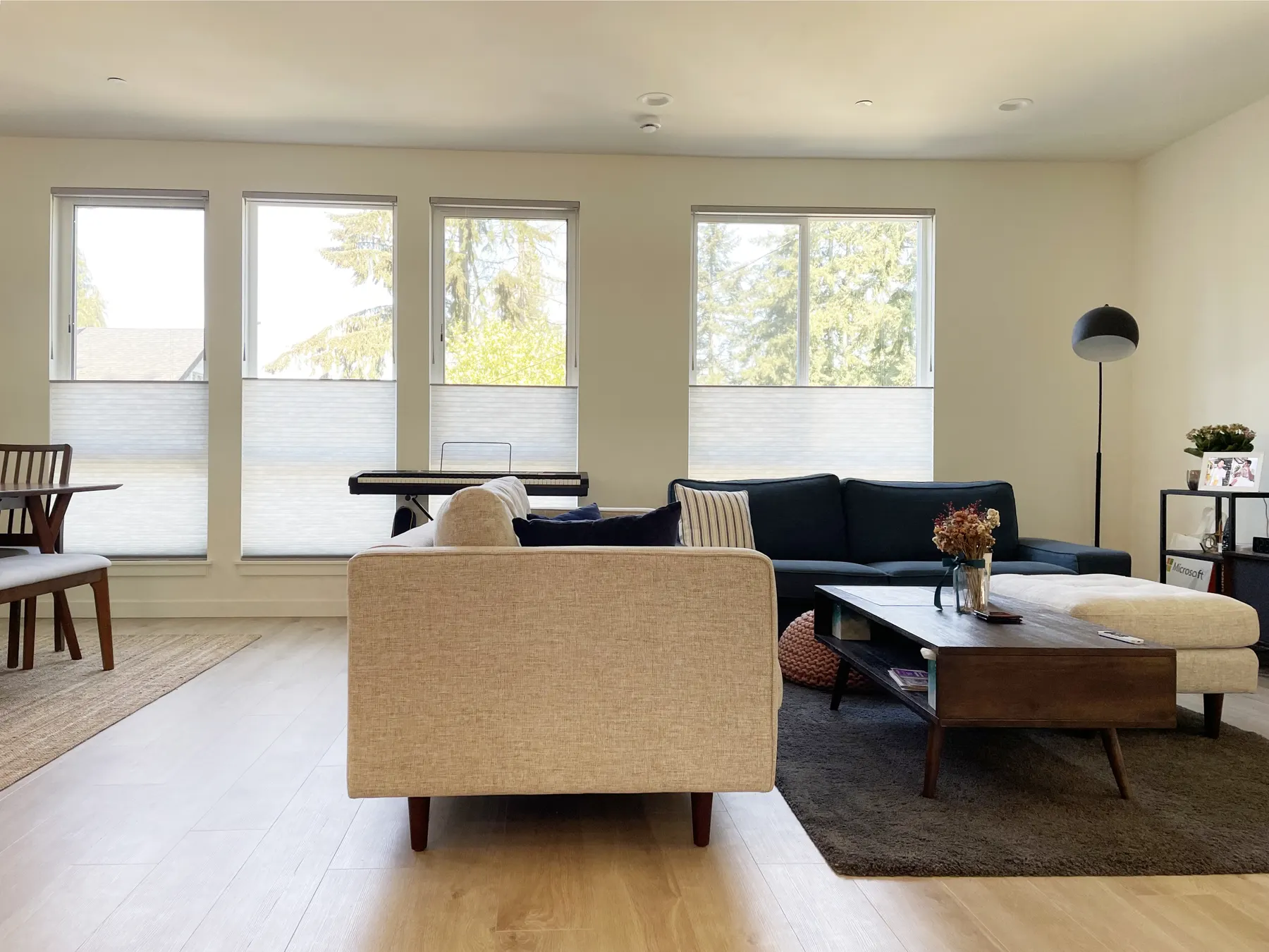Honeycomb Shades for a Living Room in Maple Leaf, Seattle