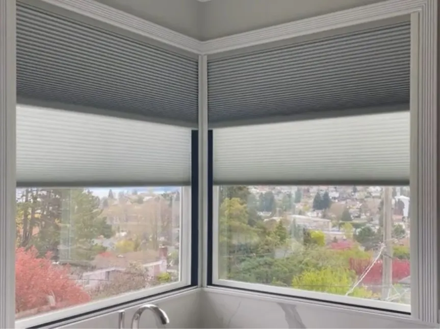 Motorized Honeycomb Shades with Light Filtering and Room Darkening for Bathroom in Magnolia, Seattle