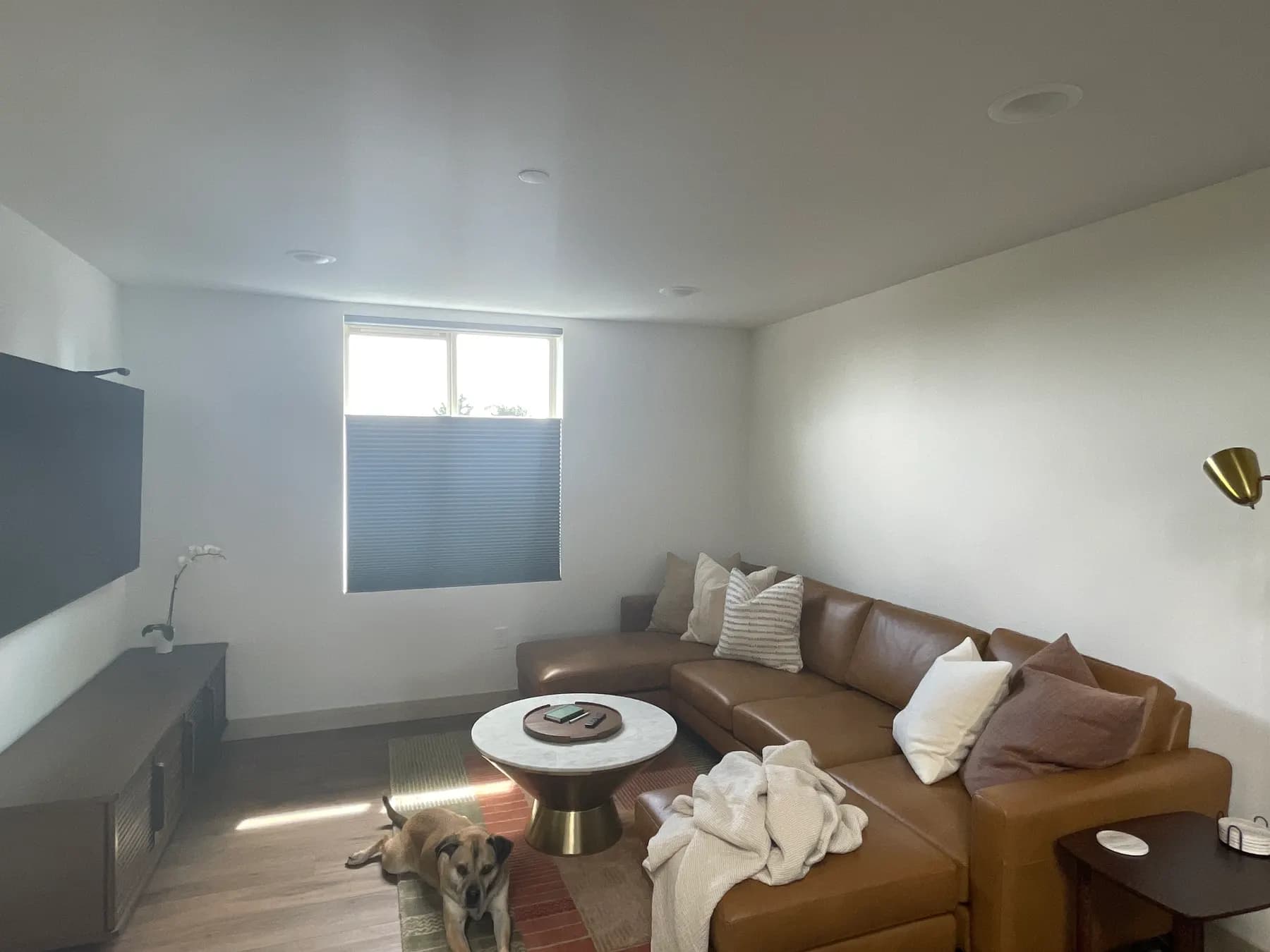 Motorized Blackout Honeycomb Shades for a Living Room in Seattle