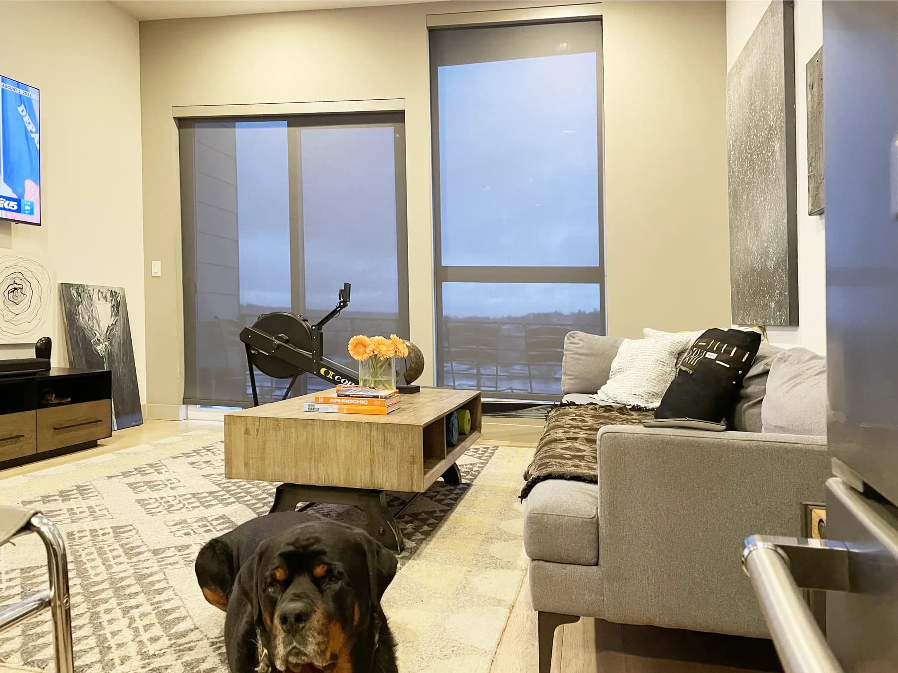 Motorized Solar Shades for Living Room Sliding Door and Window in Eastlake, Seattle