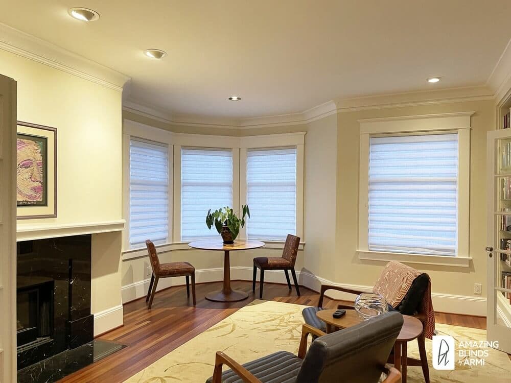 Classic Roman Shades for a Living Room on 37th Ave in Madrona, Seattle, WA 3