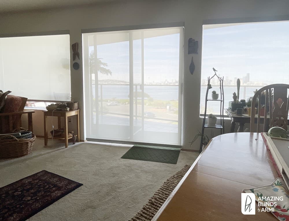Modern Solar Shades to Filter Sunlight, Preserve View on Harbor Ave in West Seattle, WA 2
