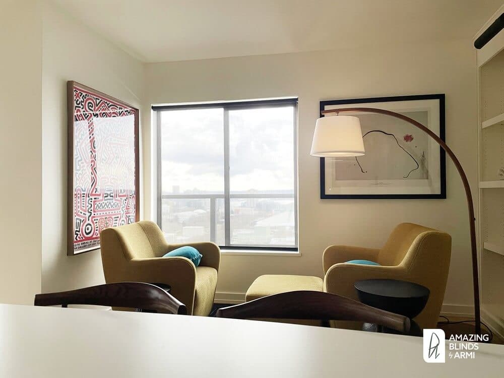 Sleek Solar Shades for Space Needle Views on Ward St in Queen Anne, Seattle, WA 2