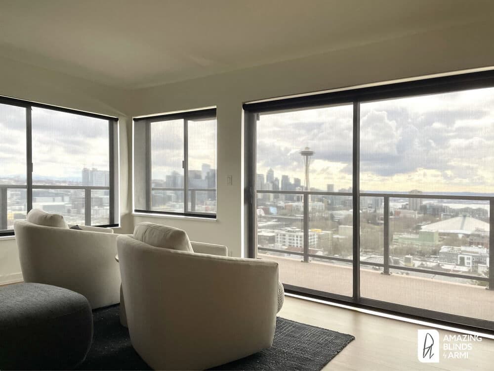 Sleek Solar Shades for Space Needle Views on Ward St in Queen Anne, Seattle, WA